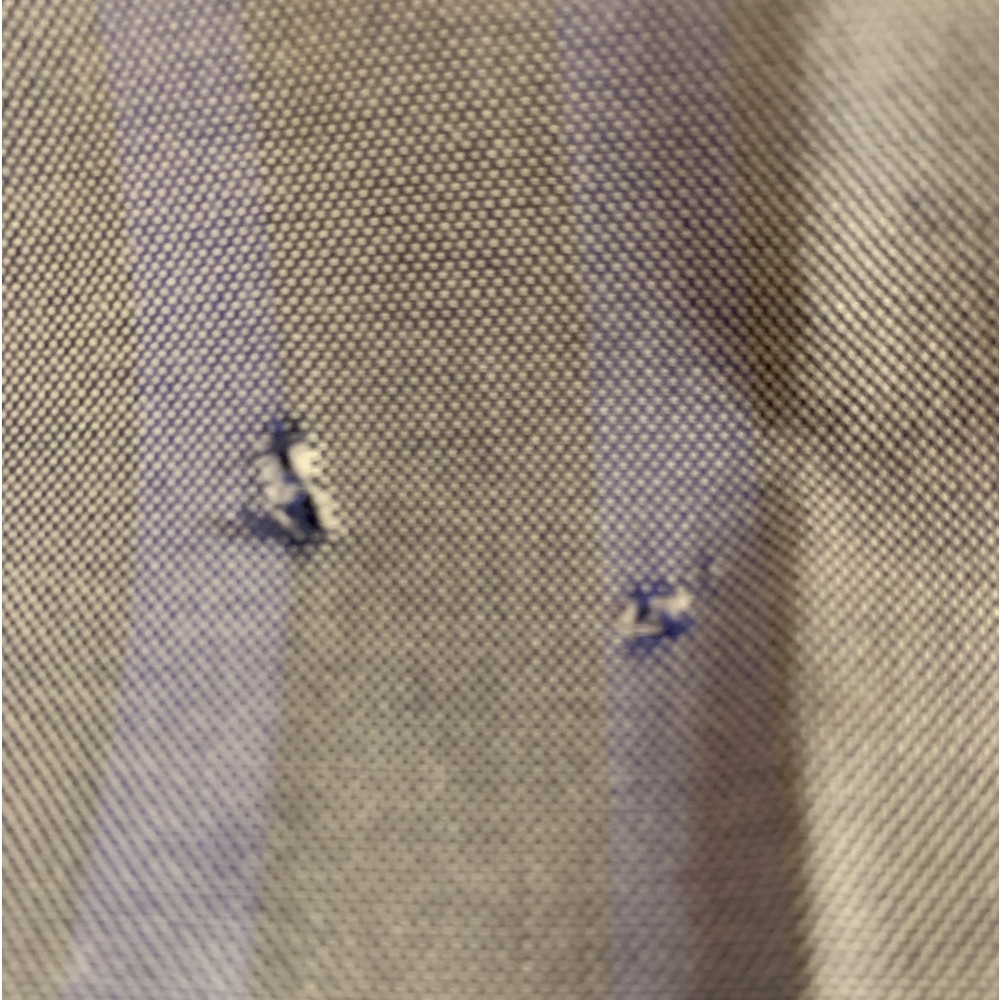 Robert Graham “The Freshly Laundered Shirt” - Picture 4 of 11